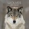 The Gifted Stationery Square Monthly Planner - 16-Month 2026 Calendar Grid - 2026 Wall Calendar with Stickers - Hanging Wolf Imagery Design - Wolves Theme, 180 Reminder Stickers, 12 x 12 in